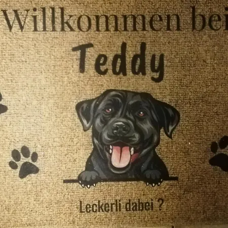 Haus Ferchen * Enge-Sande